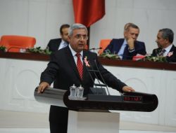 Metiner'den Kürt Diasporasına Çağrı