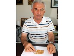 Pembe 'Denizli Domatesi' Koruma Altına Alınacak