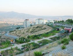 Hobi Bahçelerinde Organik Meyve Sebze Yetiştiriyorlar