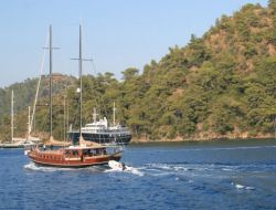 Mavi Kart Ve Gats Uygulamaları Resmen Başladı