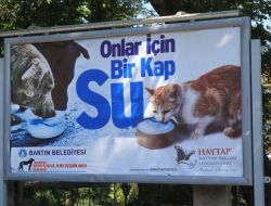 Bartın Belediyesi ‘onlar İçin Bir Kap Su’ Kampanyası Başlattı