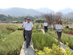 Başkan Savaş Belediye Hizmetlerini Yerinde İnceledi