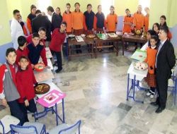 Seydişehir'de Modellerle Hücre Yapısı Yarışması Düzenlendi
