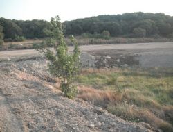 Bbp’li Mustafa Aydın’dan Yeşil Alan Tahribine Tepki