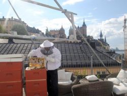 Anzer Yaylası Değil, Hilton'un Teras Katı