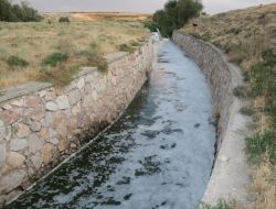 Akkaya Barajı'ndan Yayılan Kötü Koku Halkı Rahatsız Ediyor