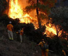 Milas alev alev yanıyor