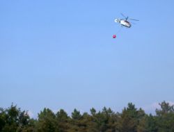 Sakarya’daki Orman Yangını