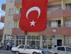 "Saçının Bir Teline Bile Razıyım"