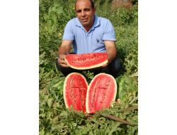 "Bilinçli Tarımla Kalite Ve Verim Arttı"