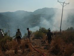 Sumbas’ta Orman Yangını Çıktı, Sabotaj İhtimali Üzerinde Duruluyor