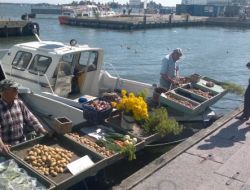 Baltık Denizindeki Teknelerde Patates Satılıyor