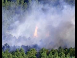 Maltepe'deki Orman Yangınına Söndürme Uçakları Müdahale Ediyor