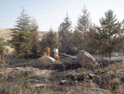 Pursaklar'daki Yangında 30 Dönümlük Ağaçlık Alan Yandı