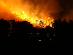 Seferihisar"daki Orman Yangını Kontrol Altına Alınamadı