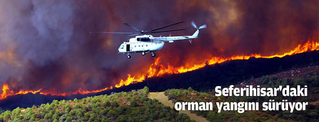 Seferihisar'daki orman yangını