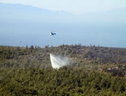 Seferihisar Yangınında Kasıt Var