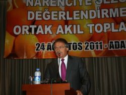 Narenciye Sektörünün Sorunları Adana'da Masaya Yatırıldı