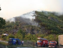 SAKARYA'DA ORMAN YANGINI