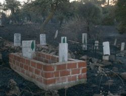 Bergama'daki Orman Yangını Kontrol Altında