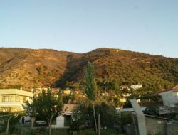 Söke'deki Orman Yangını