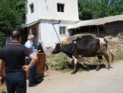Kozan'da Besiciler Son Kez Uyarıldı