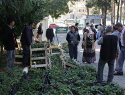 Mezarlıklarda Çiçekler Belediyeden..