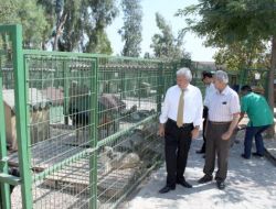 Adana Barosu: Hayvan Haklarını Koruyan Yasa Uygulanmalı