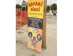 Kültür Şenliğinde ‘safari Sirki’ Gösterisi