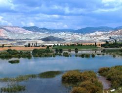 Nallıhan Kuş Cenneti’nin İsminin Değişmesine Nallıhanlılar Tepkili