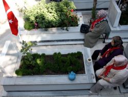 Şehit Aileleri, Kandil'de Çocuklarının Kabrine Koştu