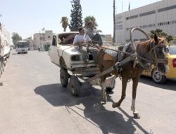 Bu Da Tek Beygirlik Araba