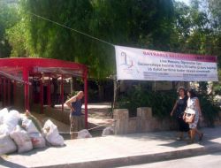 Kantin İçin Çınarı Kestiler