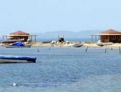 İzmir Kuş Cenneti’ndeki Barınaklar Yenileniyor