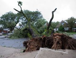Irene Kasırgası: Ölü Sayısı 44’e Çıktı