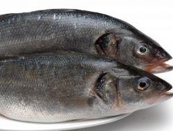 Tanıtım Balık Tüketimini de İhracatını Da Artırdı