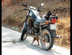 Kadirli’de Trafik Kazaları: 3 Yaralı