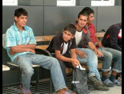 Fındık İşçileri Yedikleri Tavuktan Zehirlendi