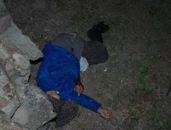 Erzurum'da Ayı Saldırısında 2 Kişi Öldü