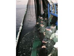 Karadenizli Balıkçılar İlk Gün Denizden Mutlu Döndü