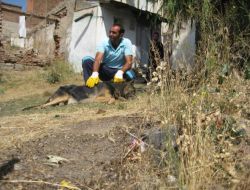 Erzurum'da Kuduz Köpek Paniği