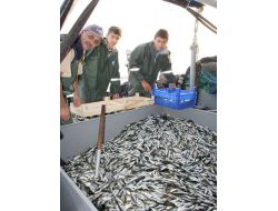 ‘vira Bismillah’ Diyen Balıkçılar İlk Gün Umduğunu Bulamadı