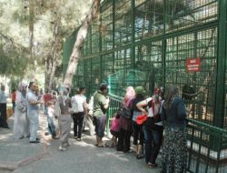 Uzun Tatil Fırsat Oldu, Ortadoğu'nun En Büyük Hayvanat Bahçesi Doldu Taştı