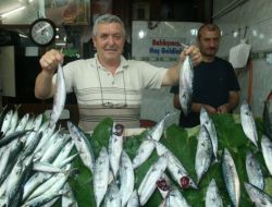 Av Yasağının Bitmesi Balıkçıların Yüzünü Güldürdü