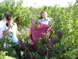 “tarımsal İstihdam İşsizliği Azaltır”