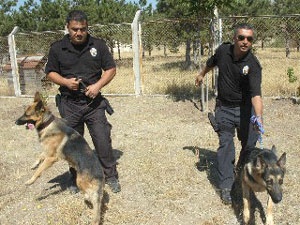 Zehir tacirlerinin korkulu rüyası