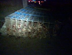 Tavuk Yüklü Kamyon İle Otomobil Çarpıştı