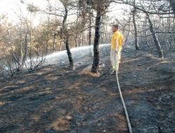 KEŞAN’DAKİ ORMAN YANGINI..