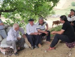 Metiner, Sincik Yaylalarında Sorunları Dinledi