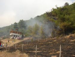 Kozan’da 1 Dönüm Kızılçam Ormanı Yandı